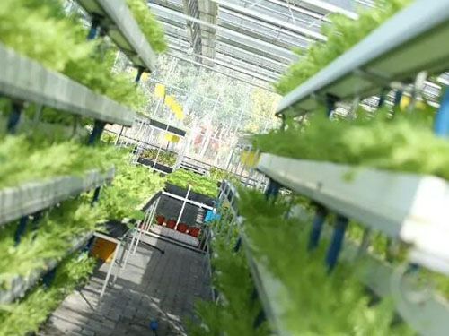 智慧農(nóng)業(yè)物聯(lián)網(wǎng) 智慧農(nóng)業(yè)物聯(lián)網(wǎng)