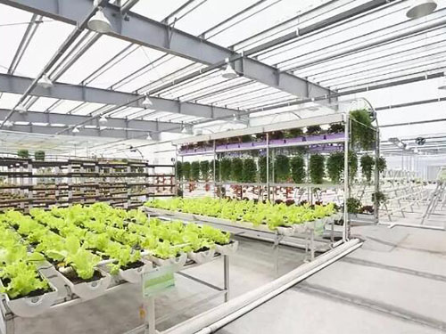 智慧農(nóng)業(yè)物聯(lián)網(wǎng) 智慧農(nóng)業(yè)物聯(lián)網(wǎng)