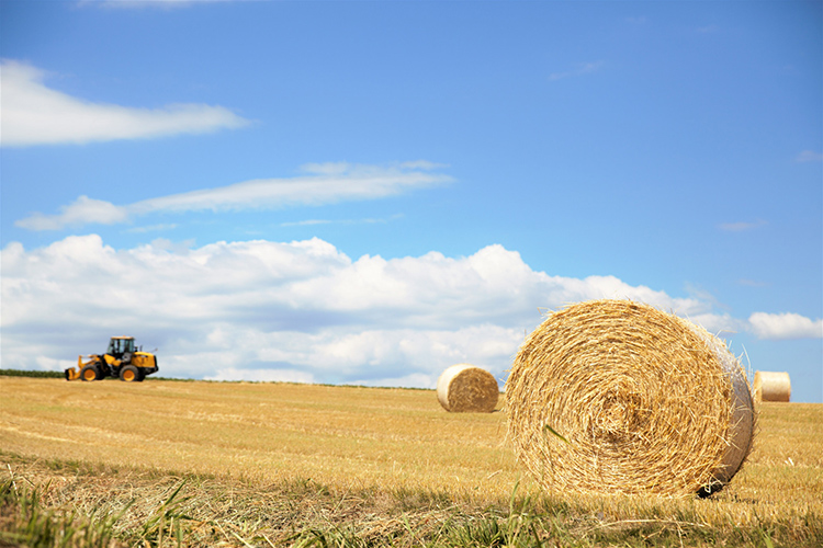 智慧環(huán)保.jpg 智慧環(huán)保.jpg